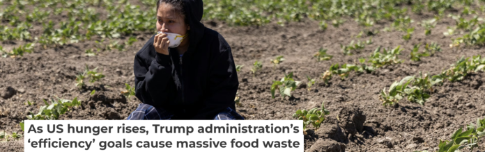 A person sits in a field of crops after a raid by U.S. immigration agents. Blake Fagan/AFP via Getty Images